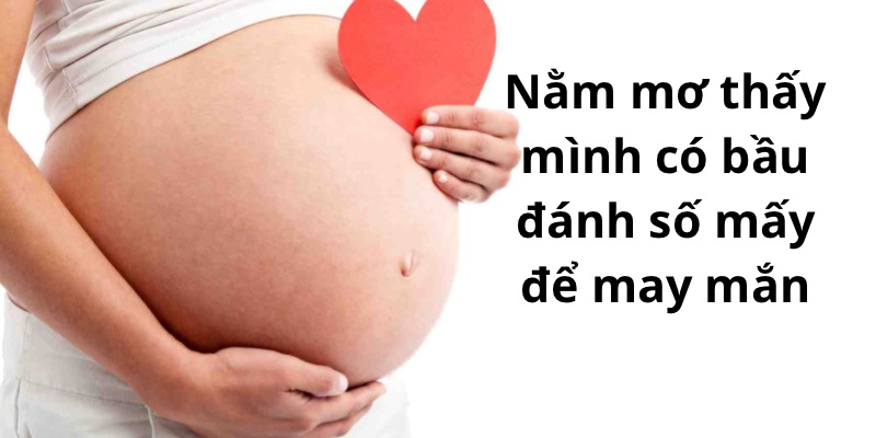 Nằm Mơ Thấy Mình Có Bầu Đánh Số Mấy Để Trúng Lô Đề Hôm Nay