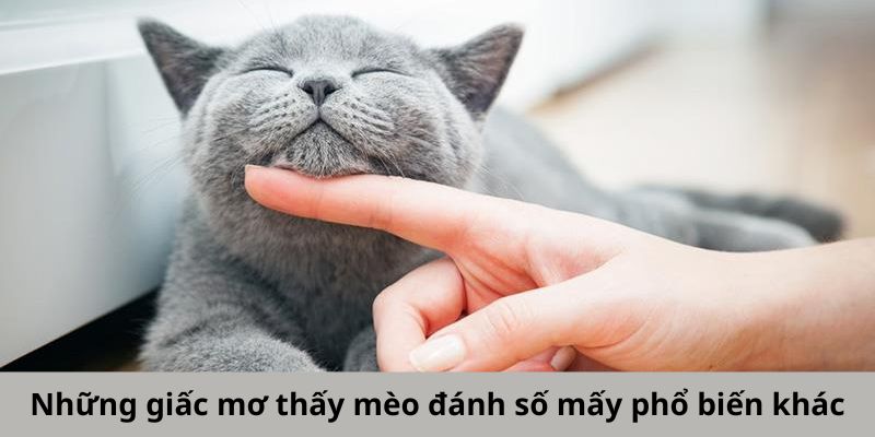 Mơ Thấy Mèo Đánh Số Mấy - Thách Thức Trò Chơi Kiếm Tiền