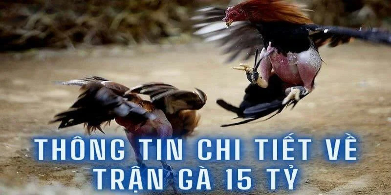 Trận gà 15 tỷ - cuộc chiến siêu kinh điển của các sư kê